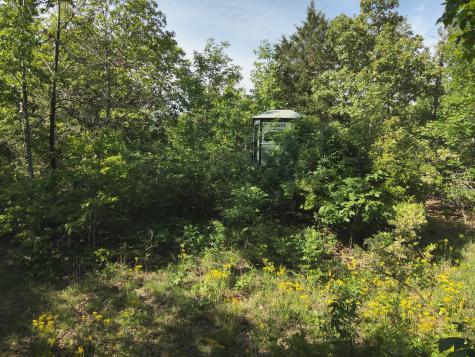 0 Lower Crooked Creek Road Lobelville TN 37097