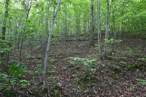 0 Lower Crooked Creek Road Lobelville TN 37097