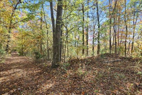0 Smithville Highway Silver Point TN 38582
