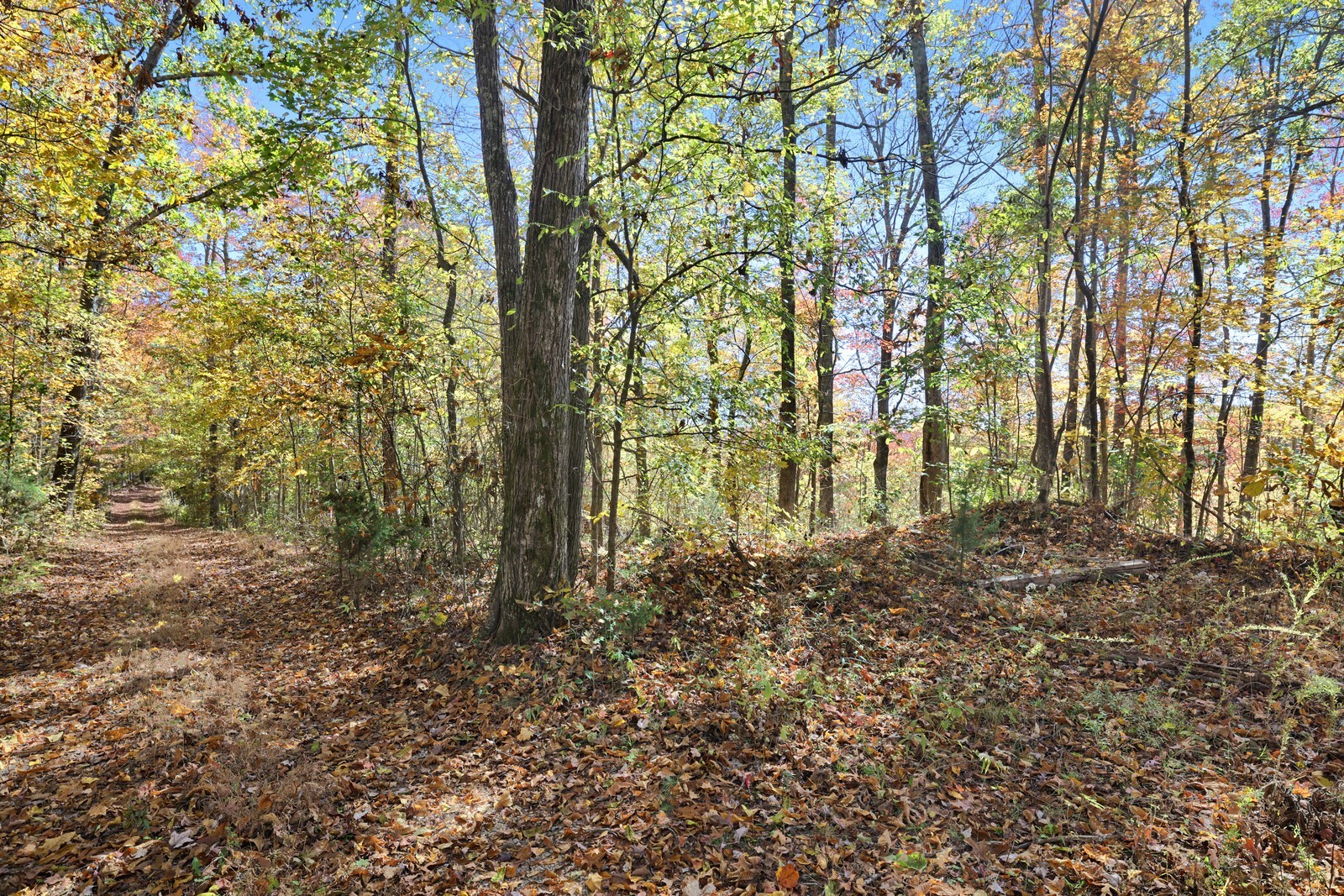 0 Smithville Highway Silver Point TN 38582