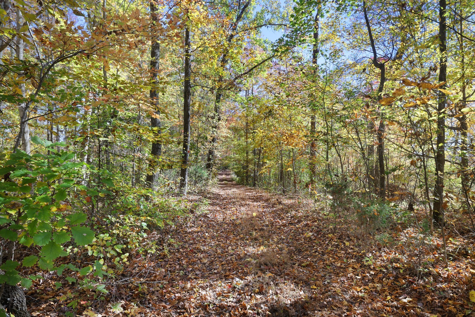 0 Smithville Highway Silver Point TN 38582