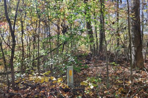 0 Smithville Highway Silver Point TN 38582
