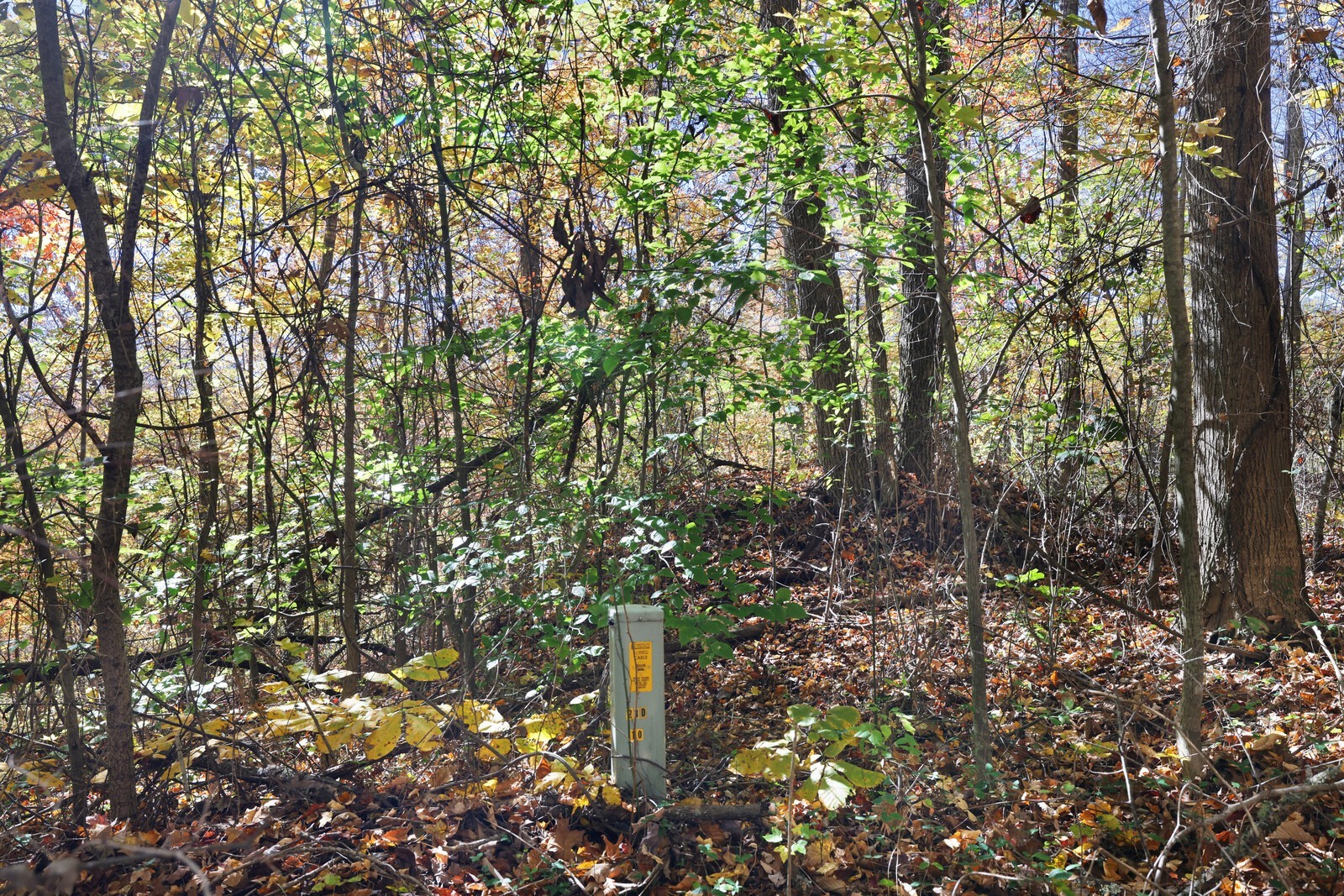 0 Smithville Highway Silver Point TN 38582