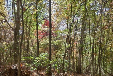 0 Smithville Highway Silver Point TN 38582