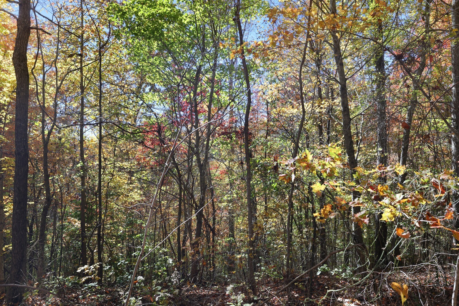 0 Smithville Highway Silver Point TN 38582
