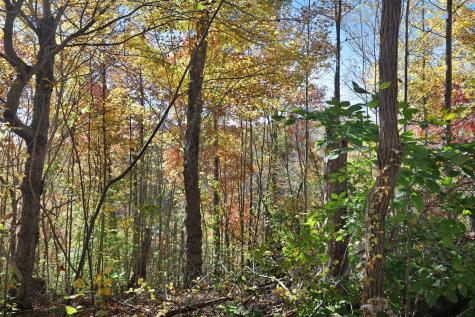 0 Smithville Highway Silver Point TN 38582