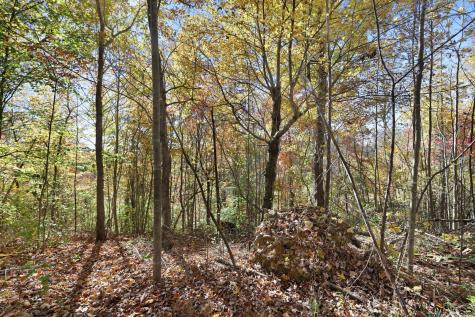 0 Smithville Highway Silver Point TN 38582