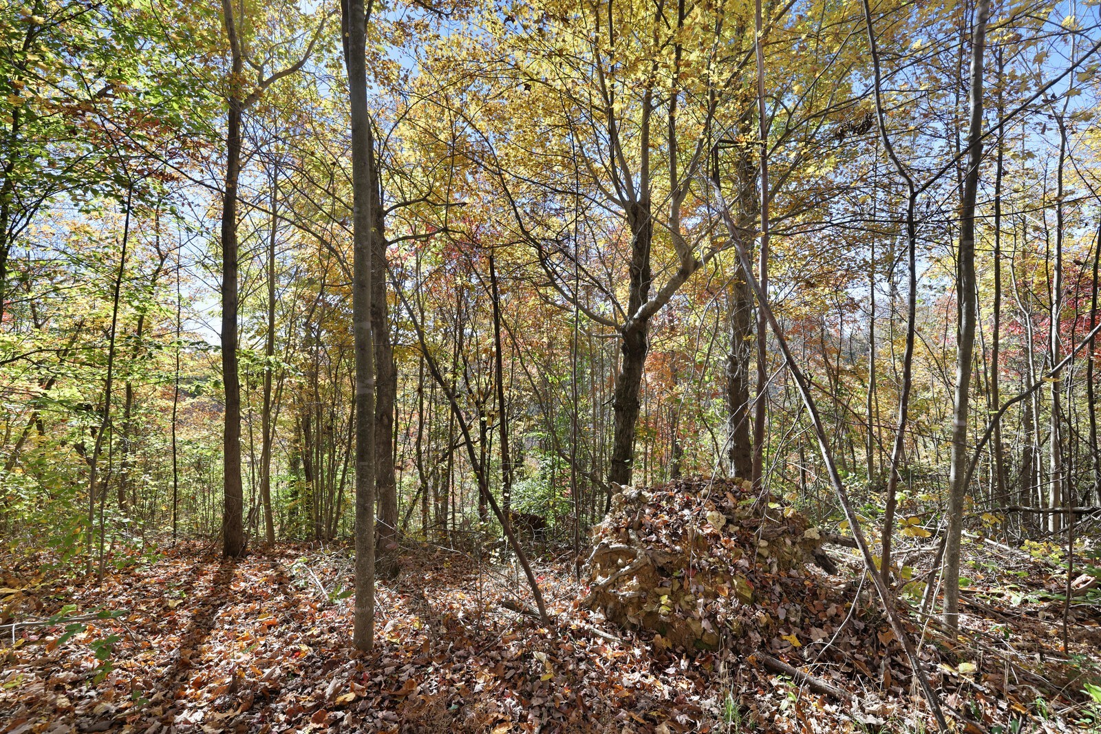 0 Smithville Highway Silver Point TN 38582