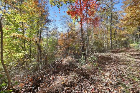 0 Smithville Highway Silver Point TN 38582