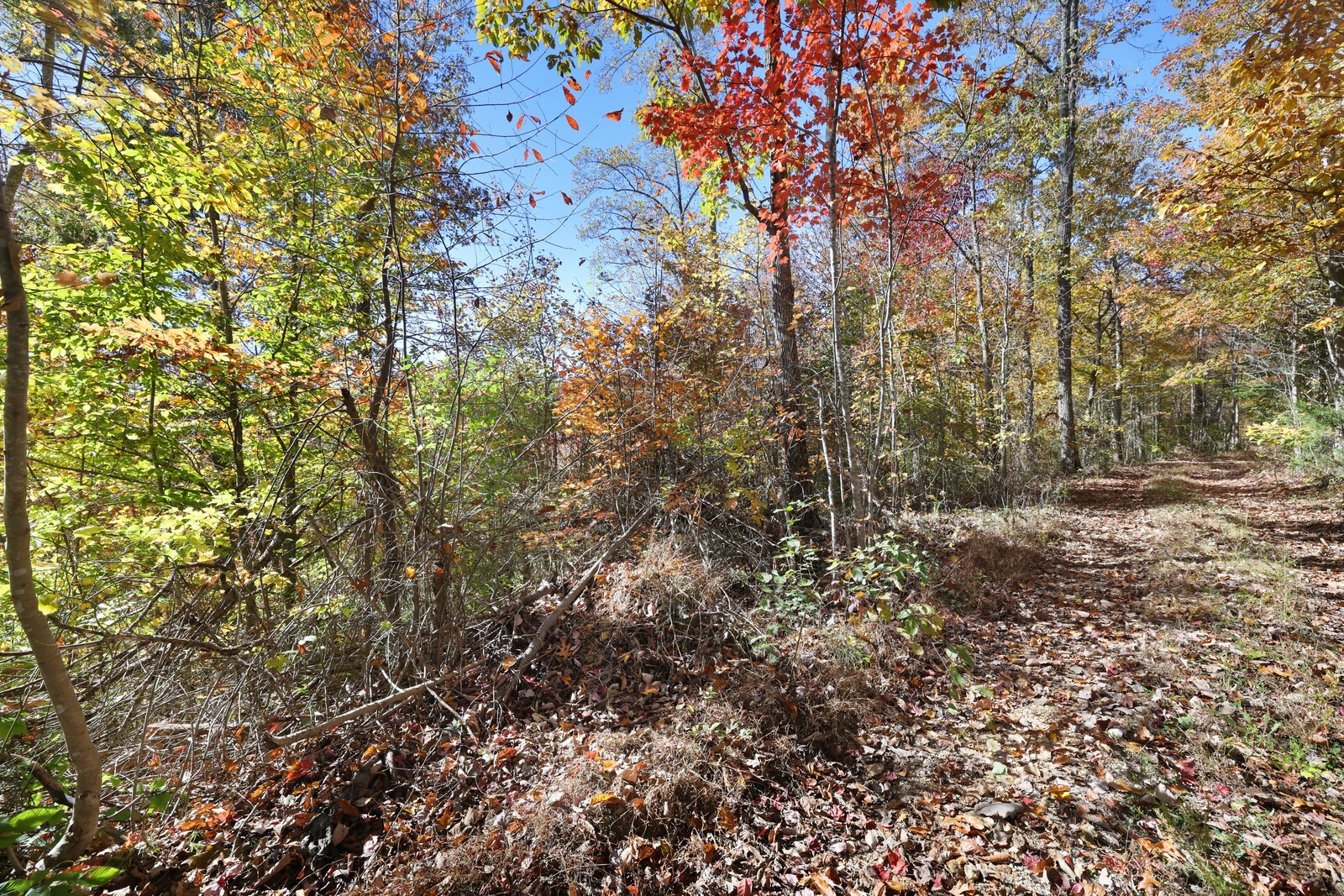 0 Smithville Highway Silver Point TN 38582