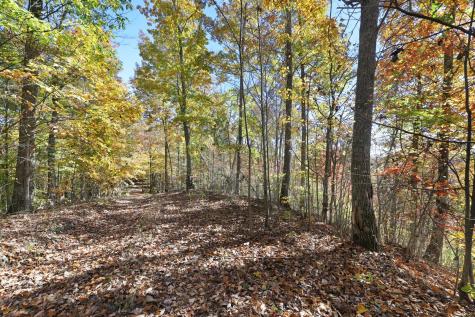 0 Smithville Highway Silver Point TN 38582