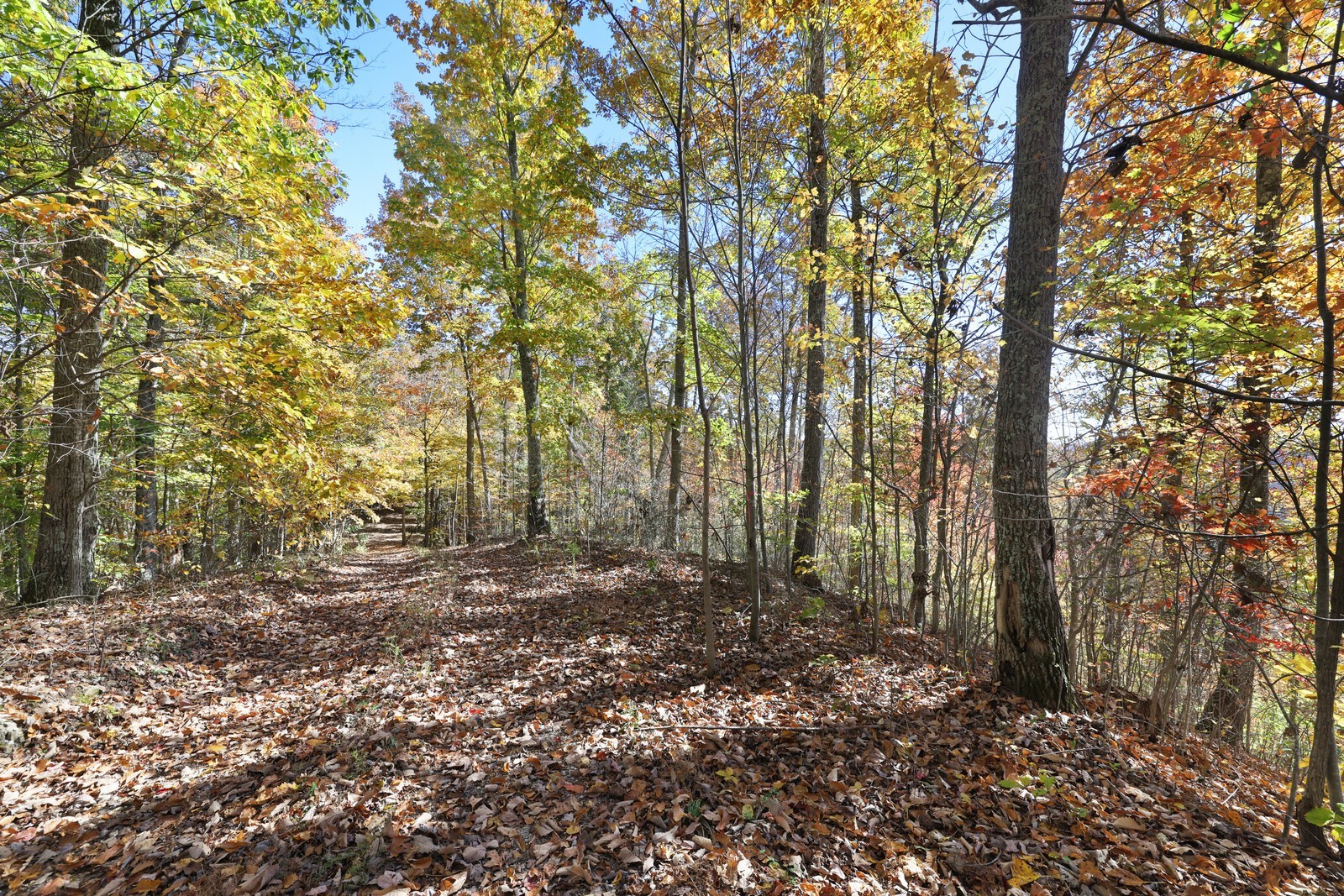 0 Smithville Highway Silver Point TN 38582