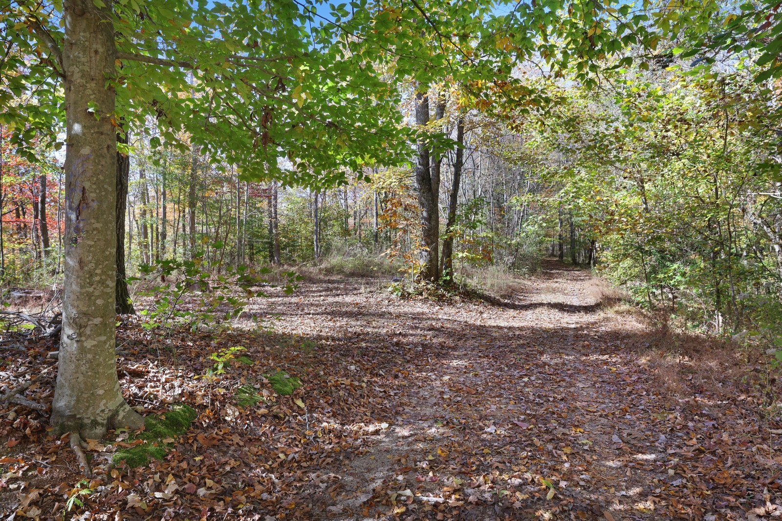 0 Smithville Highway Silver Point TN 38582