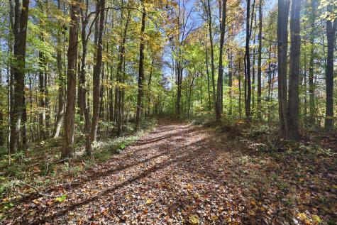 0 Smithville Highway Silver Point TN 38582