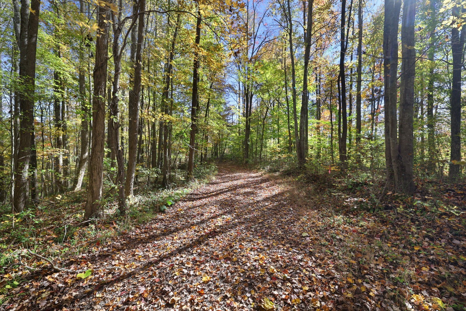 0 Smithville Highway Silver Point TN 38582