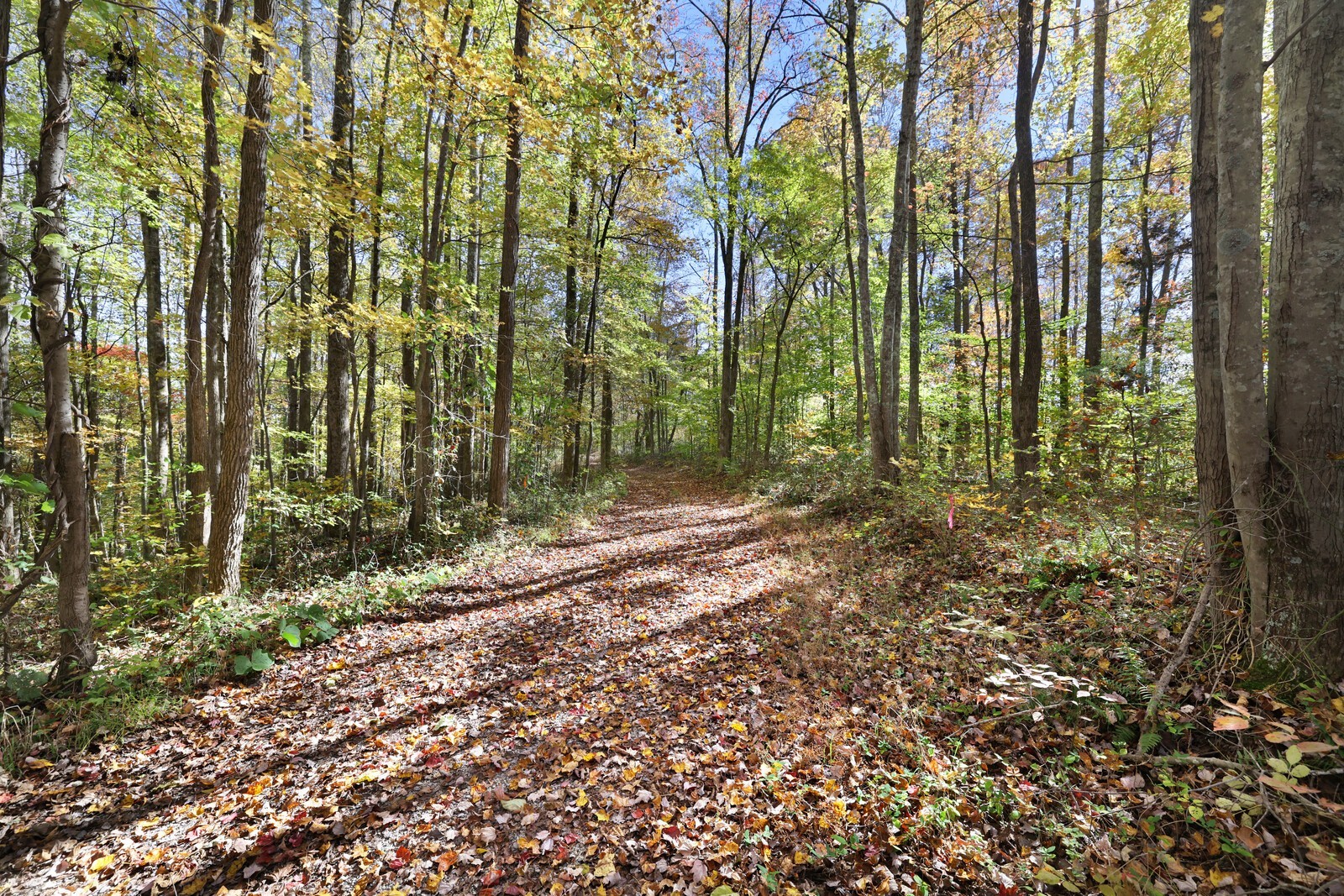 0 Smithville Highway Silver Point TN 38582