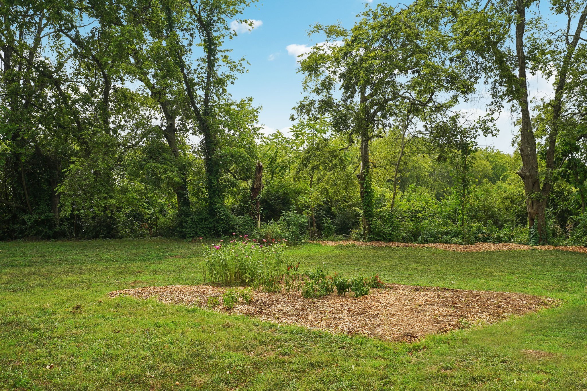 569 Green Lane Whites Creek TN 37189