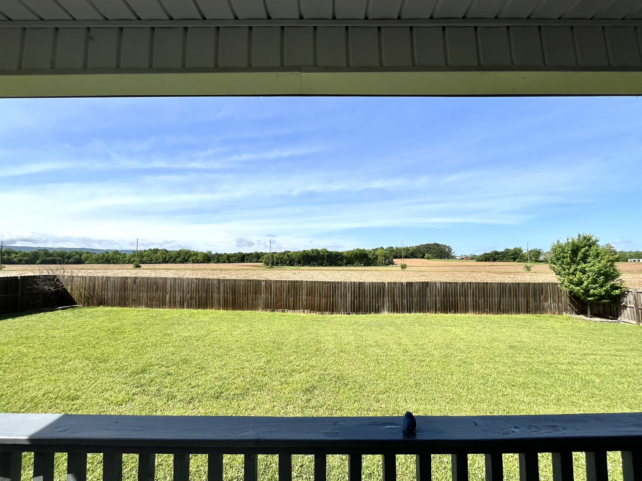 605 Strawberry Drive Winchester TN 37398