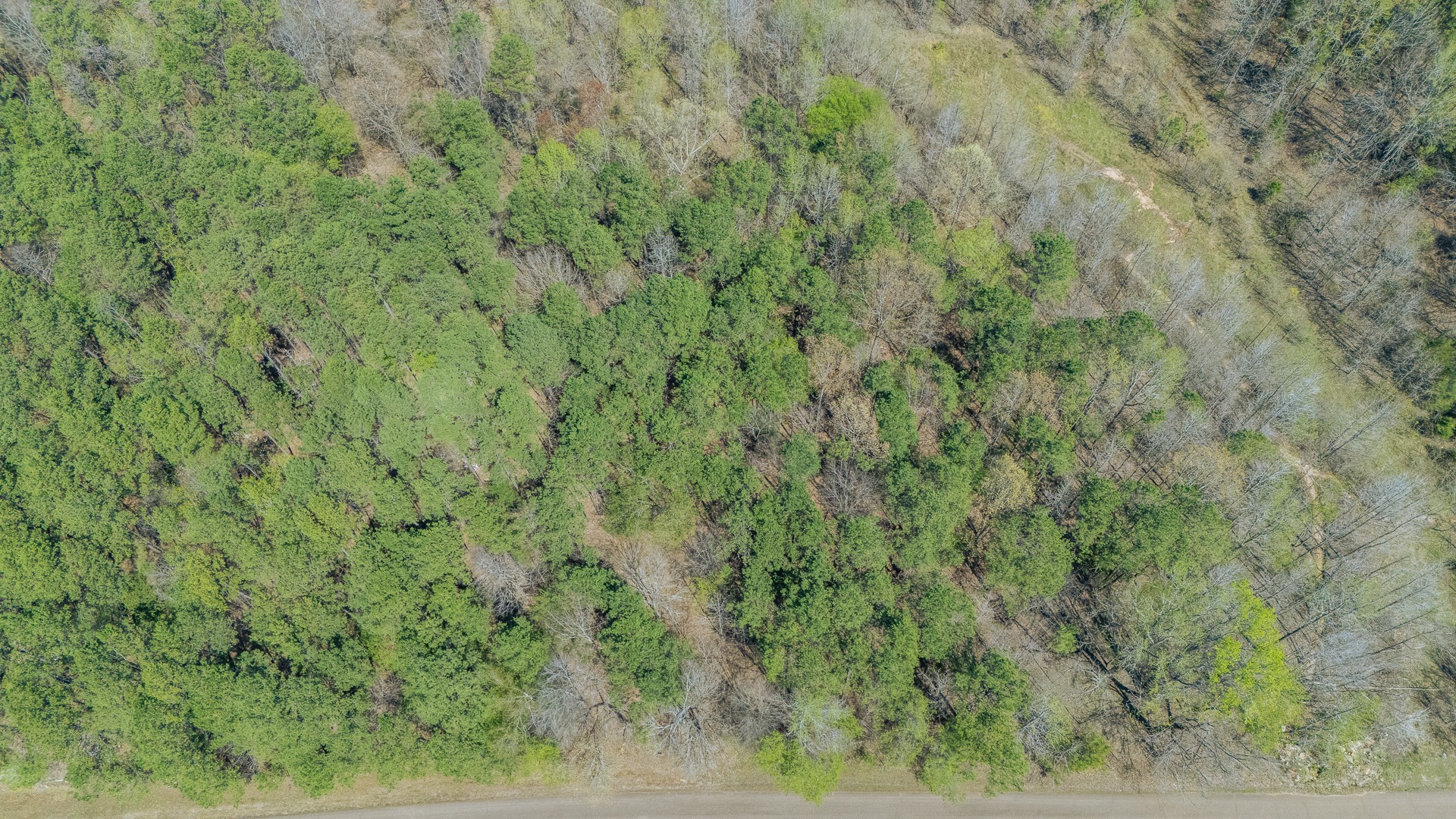956 Fairway Drive Saulsbury TN 38067
