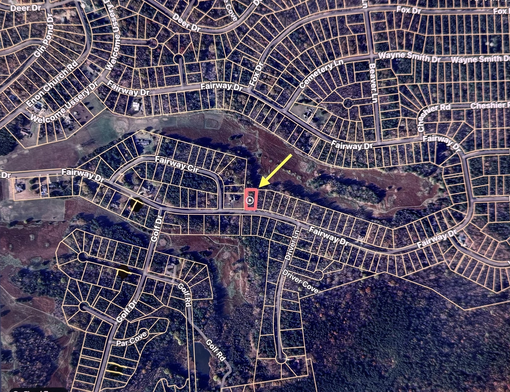 956 Fairway Drive Saulsbury TN 38067
