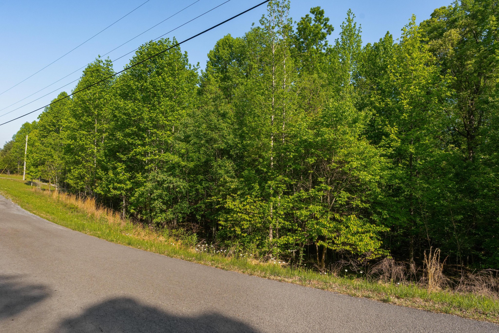 0 Jackson Point Road Sewanee TN 37375