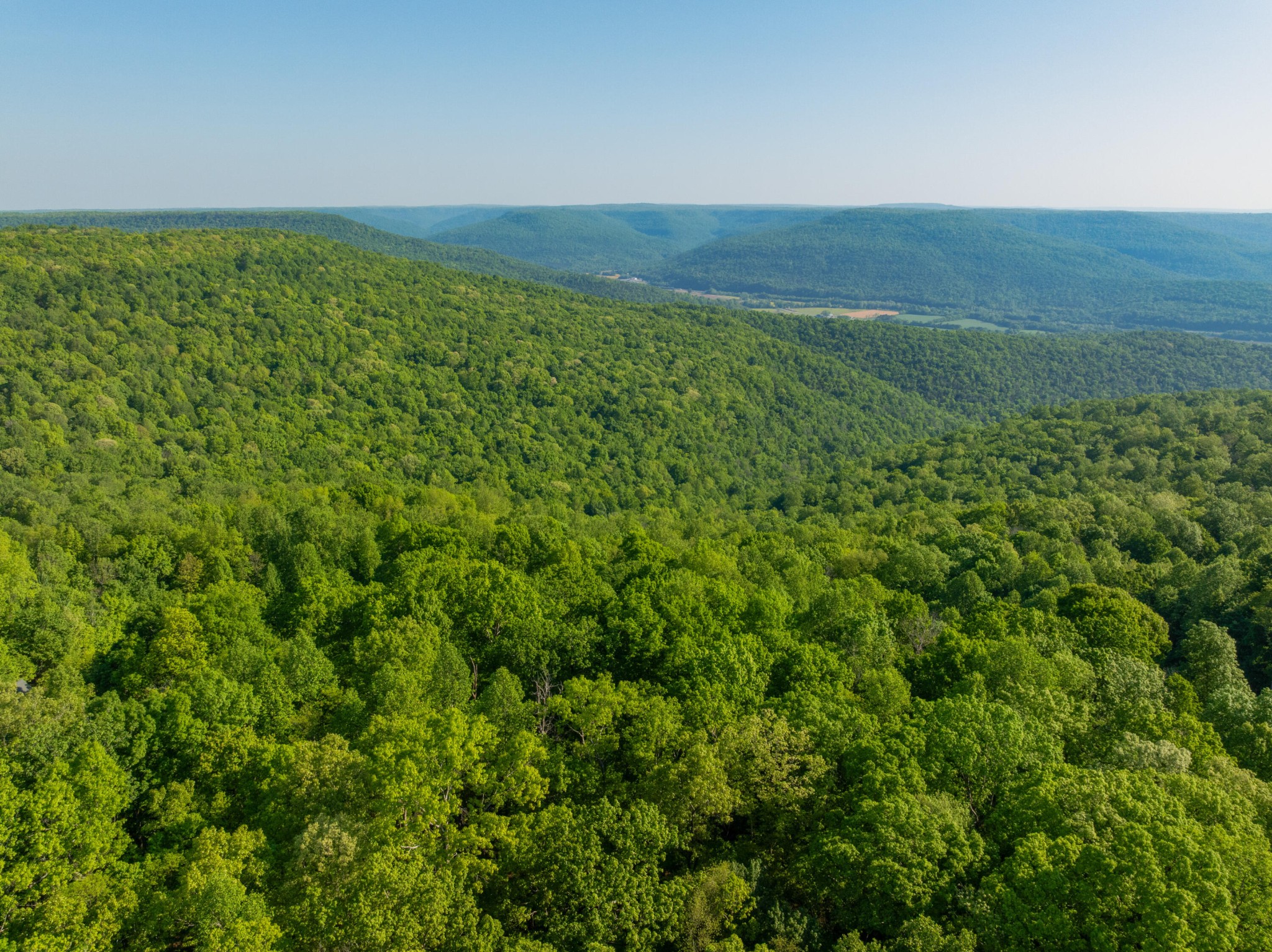 0 Jackson Point Road Sewanee TN 37375