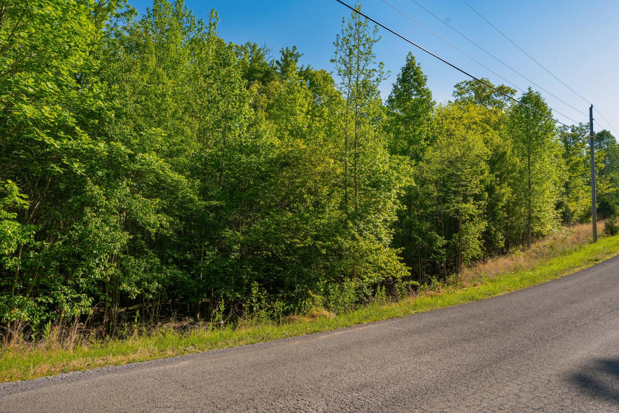 0 Jackson Point Road Sewanee TN 37375