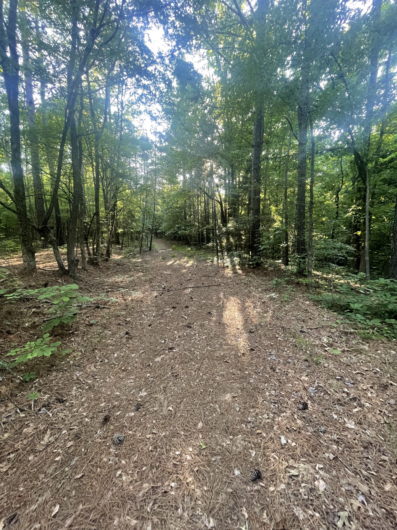 0 Leach Road Huntingdon TN 38344