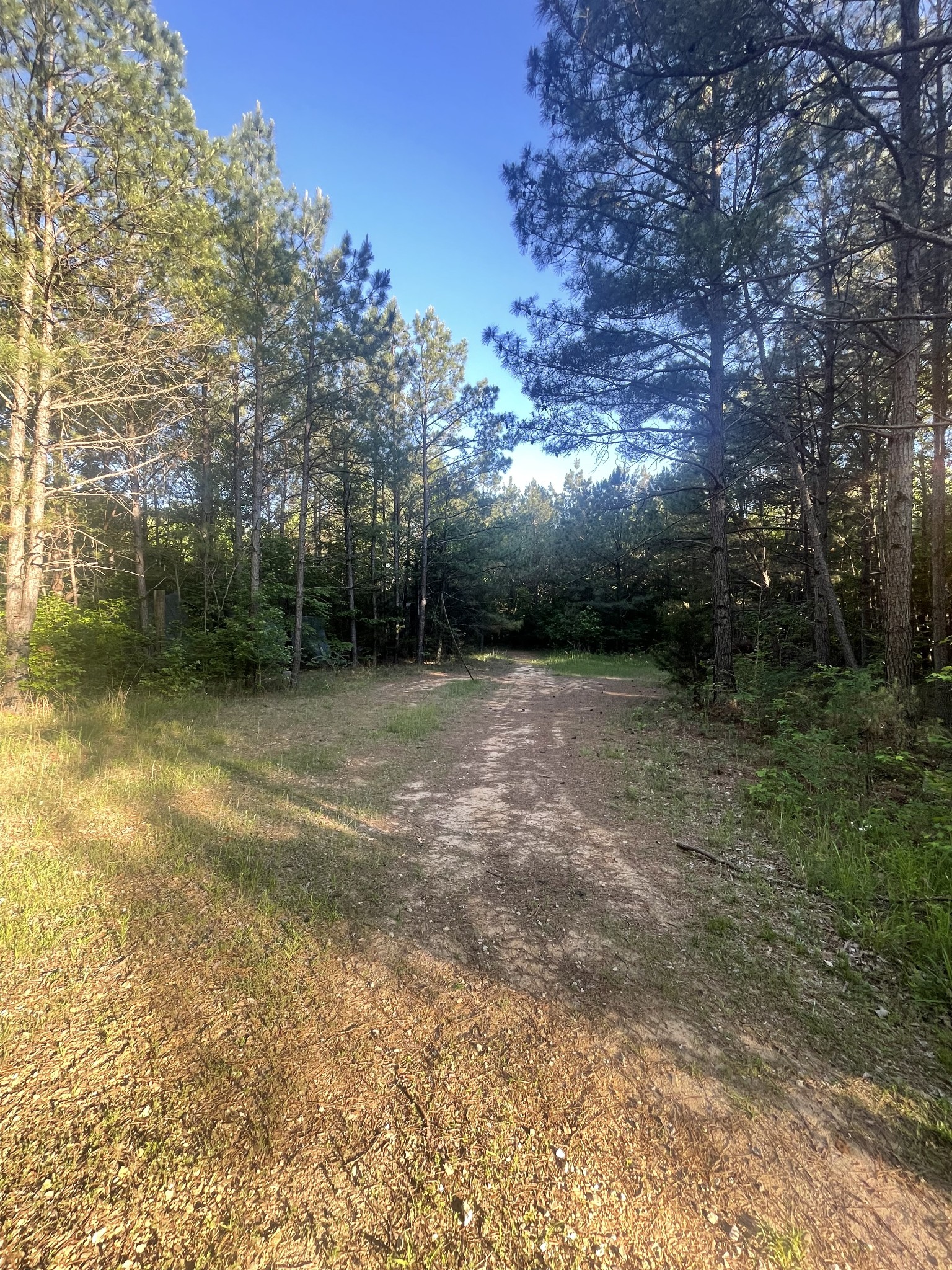 0 Leach Road Huntingdon TN 38344