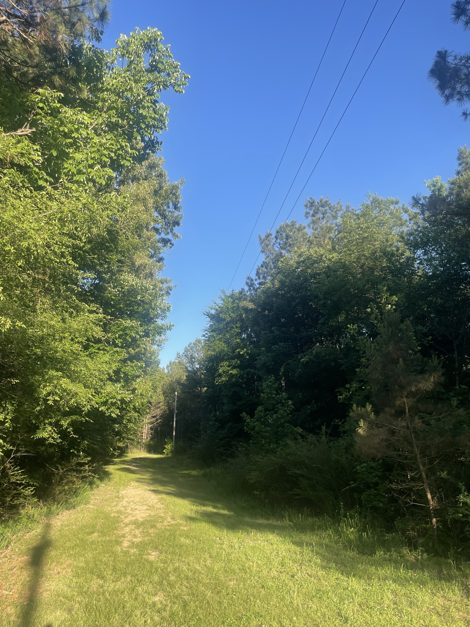 0 Leach Road Huntingdon TN 38344