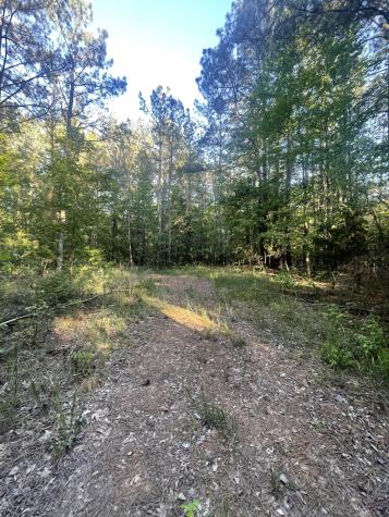 0 Leach Road Huntingdon TN 38344