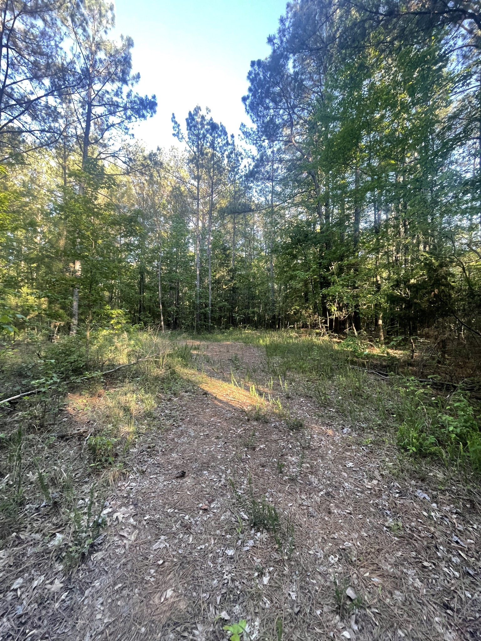 0 Leach Road Huntingdon TN 38344