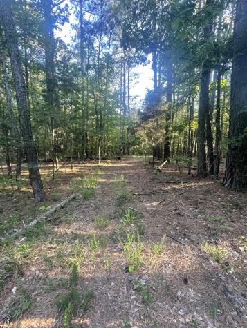 0 Leach Road Huntingdon TN 38344