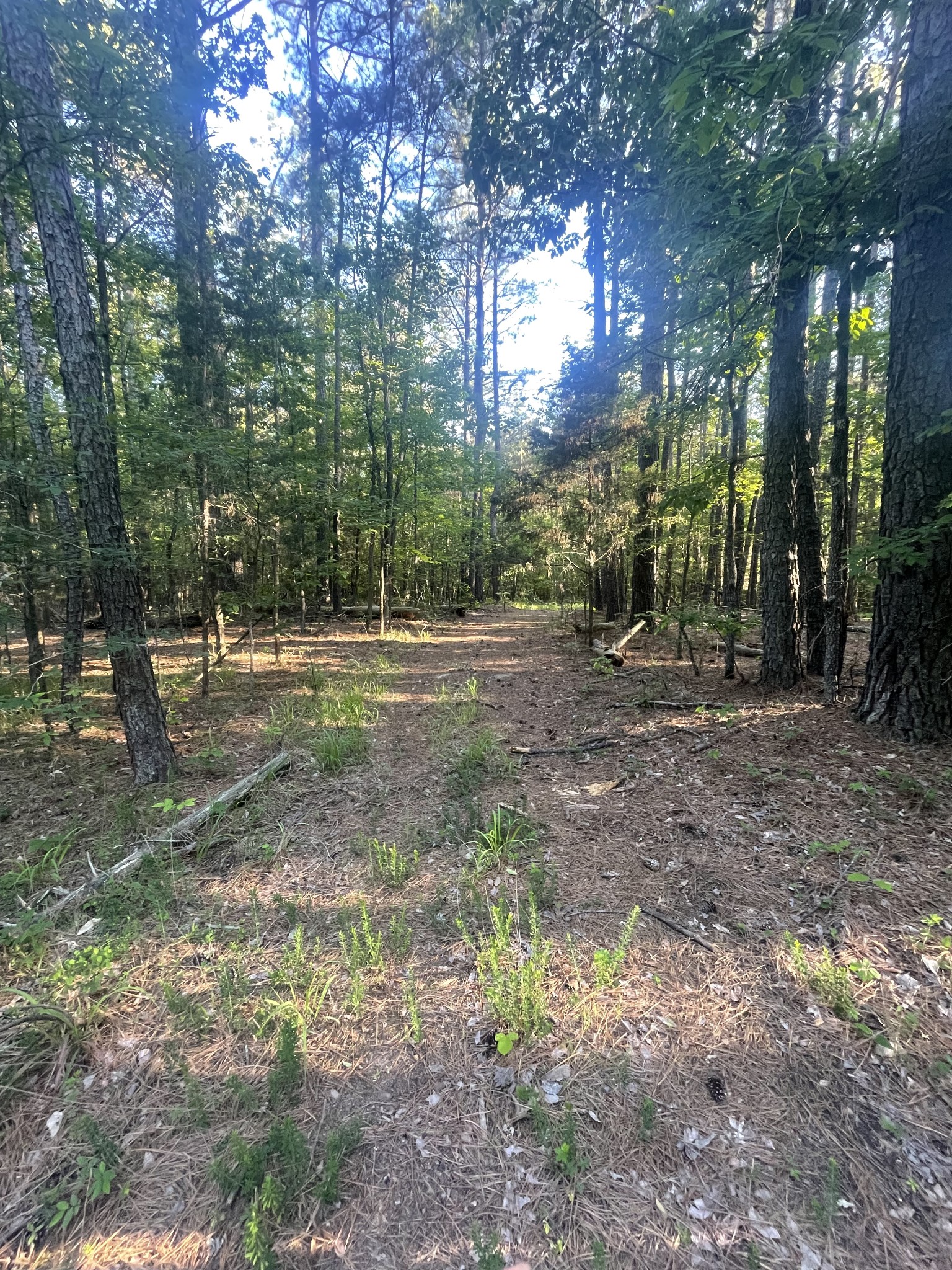 0 Leach Road Huntingdon TN 38344