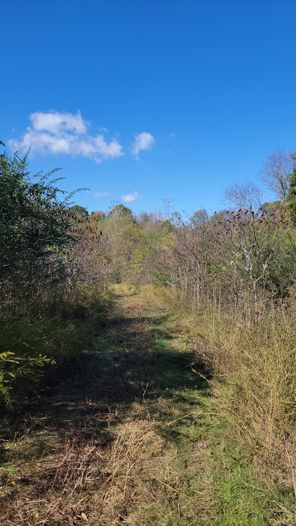 0 Briana Road Lebanon TN 37087