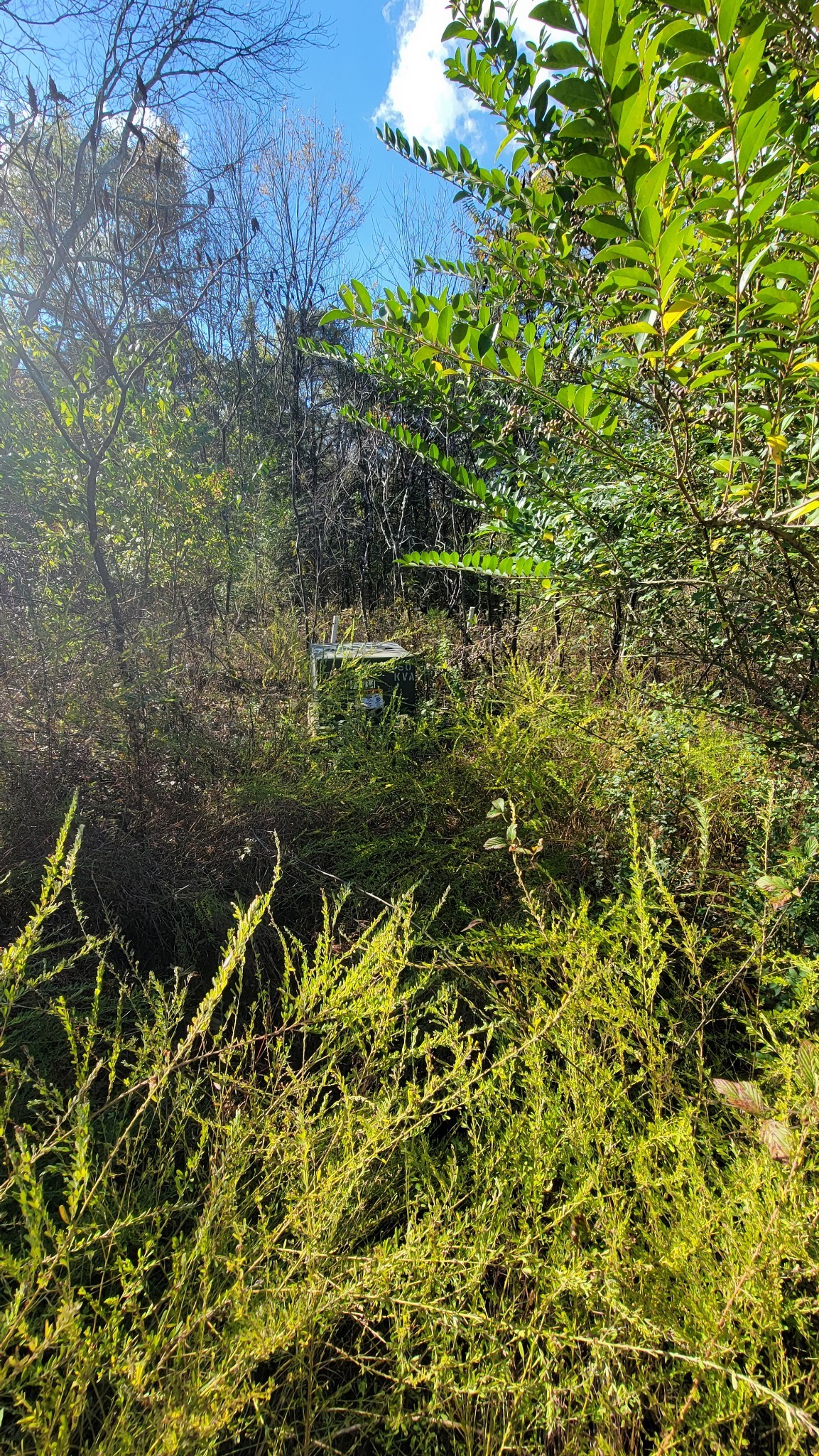 0 Briana Road Lebanon TN 37087