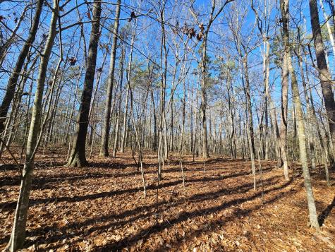 3 Woodfern Lane Coalmont TN 37313