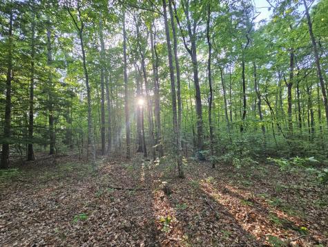 3 Woodfern Lane Coalmont TN 37313