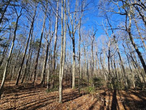 3 Woodfern Lane Coalmont TN 37313