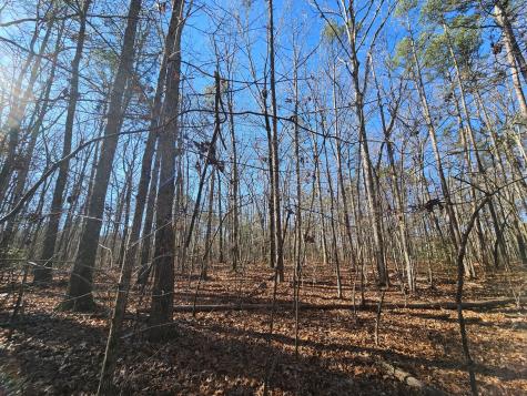 3 Woodfern Lane Coalmont TN 37313