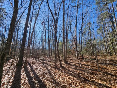 3 Woodfern Lane Coalmont TN 37313