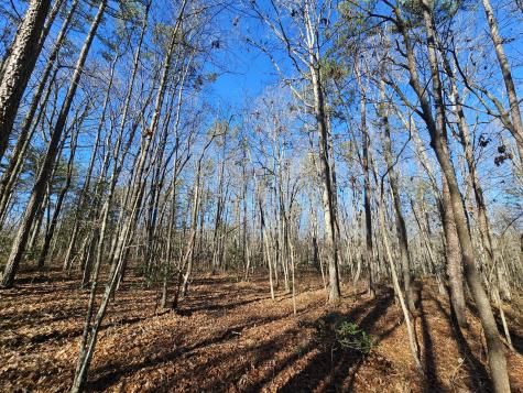 3 Woodfern Lane Coalmont TN 37313