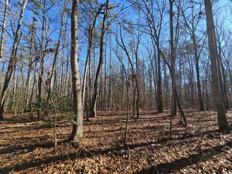 3 Woodfern Lane Coalmont TN 37313