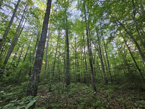 3 Woodfern Lane Coalmont TN 37313