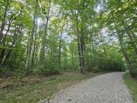 3 Woodfern Lane Coalmont TN 37313