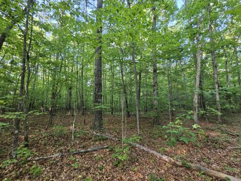 3 Woodfern Lane Coalmont TN 37313