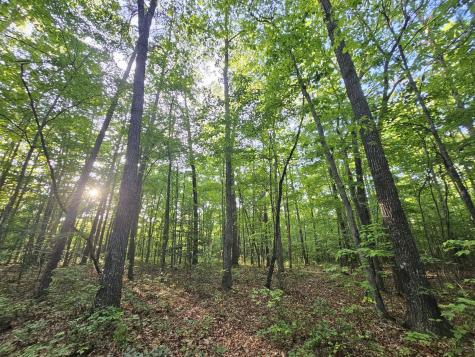 3 Woodfern Lane Coalmont TN 37313