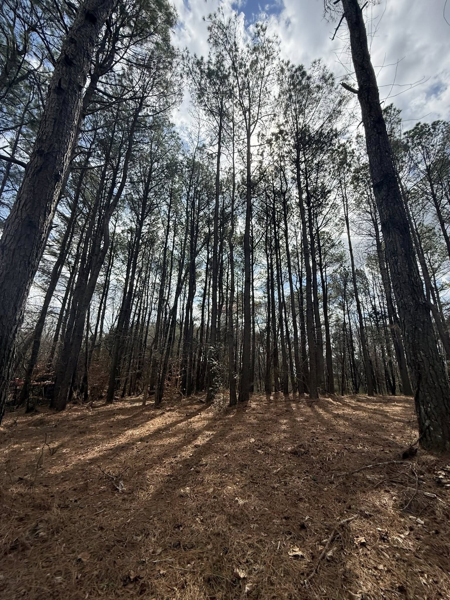 5583 Pedigap Road Morrison TN 37357