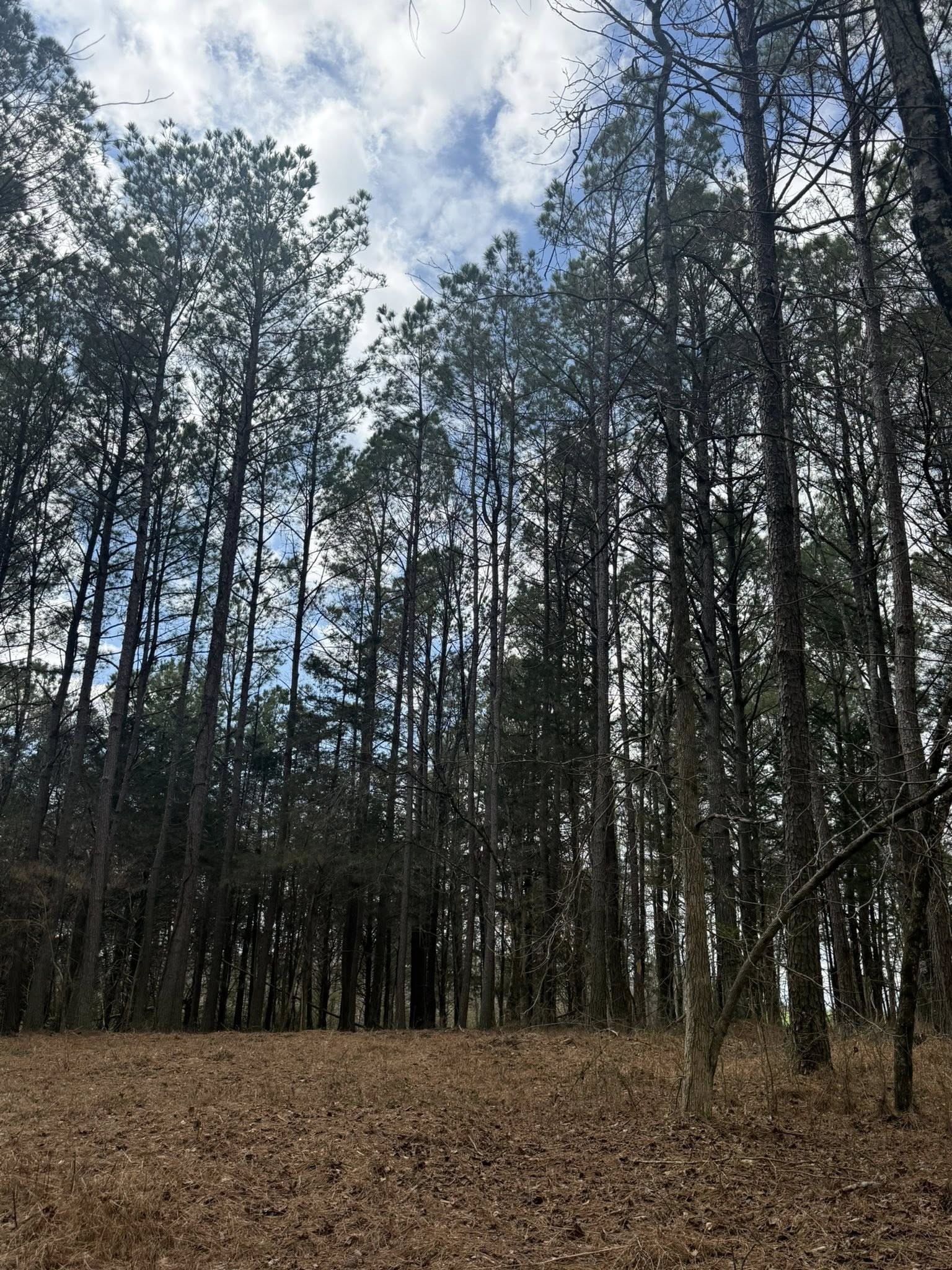 5583 Pedigap Road Morrison TN 37357