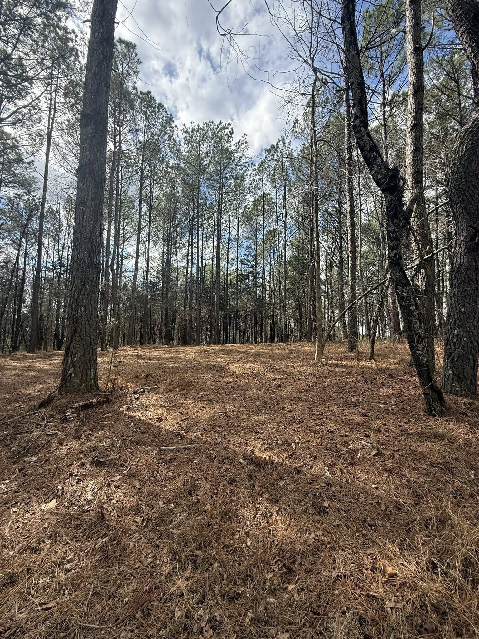 5583 Pedigap Road Morrison TN 37357